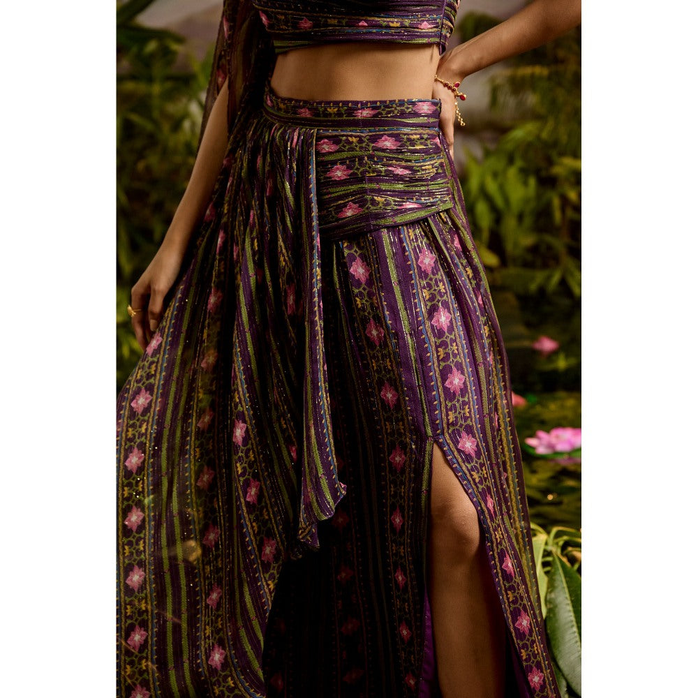Baise Gaba Sharvari Skirt & Crop Top (Set of 2)