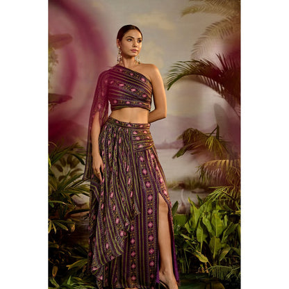 Baise Gaba Sharvari Skirt & Crop Top (Set of 2)