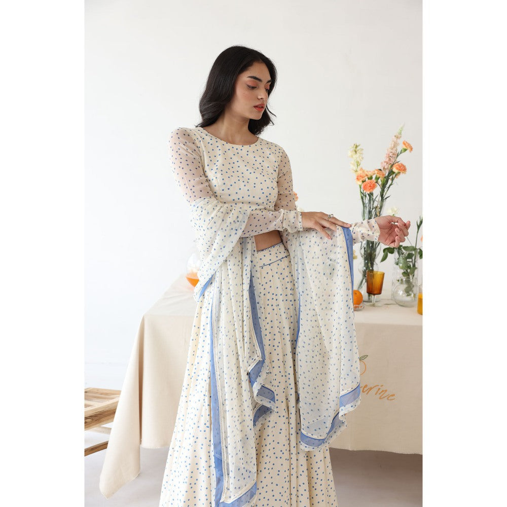 Baise Gaba Petal Dupatta