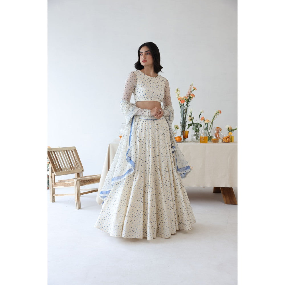 Baise Gaba Petal Dupatta