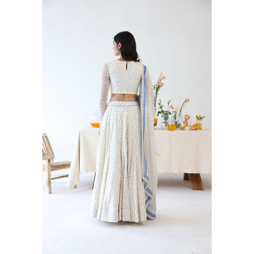 Baise Gaba Petal Dupatta