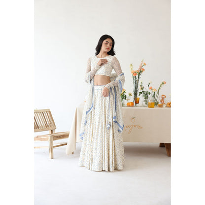 Baise Gaba Petal Lehenga