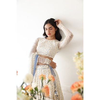 Baise Gaba Petal Lehenga