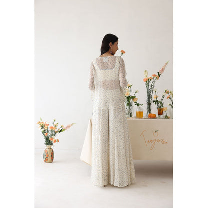 Baise Gaba Glitzy Inner and Top with Palazzo (Set of 3)