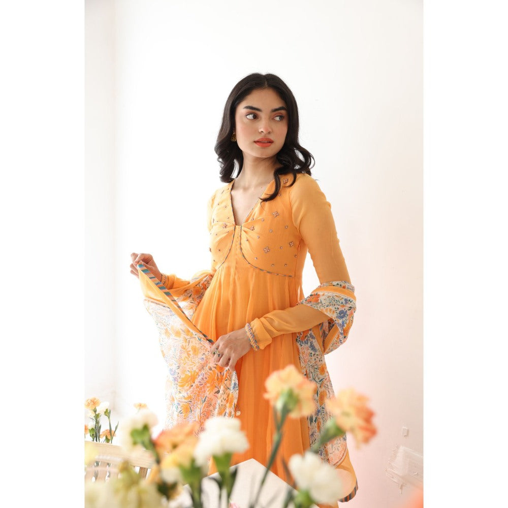 Baise Gaba Zesty Hand Embroidery Anarkali Kurta with Pant & Dupatta (Set of 3)