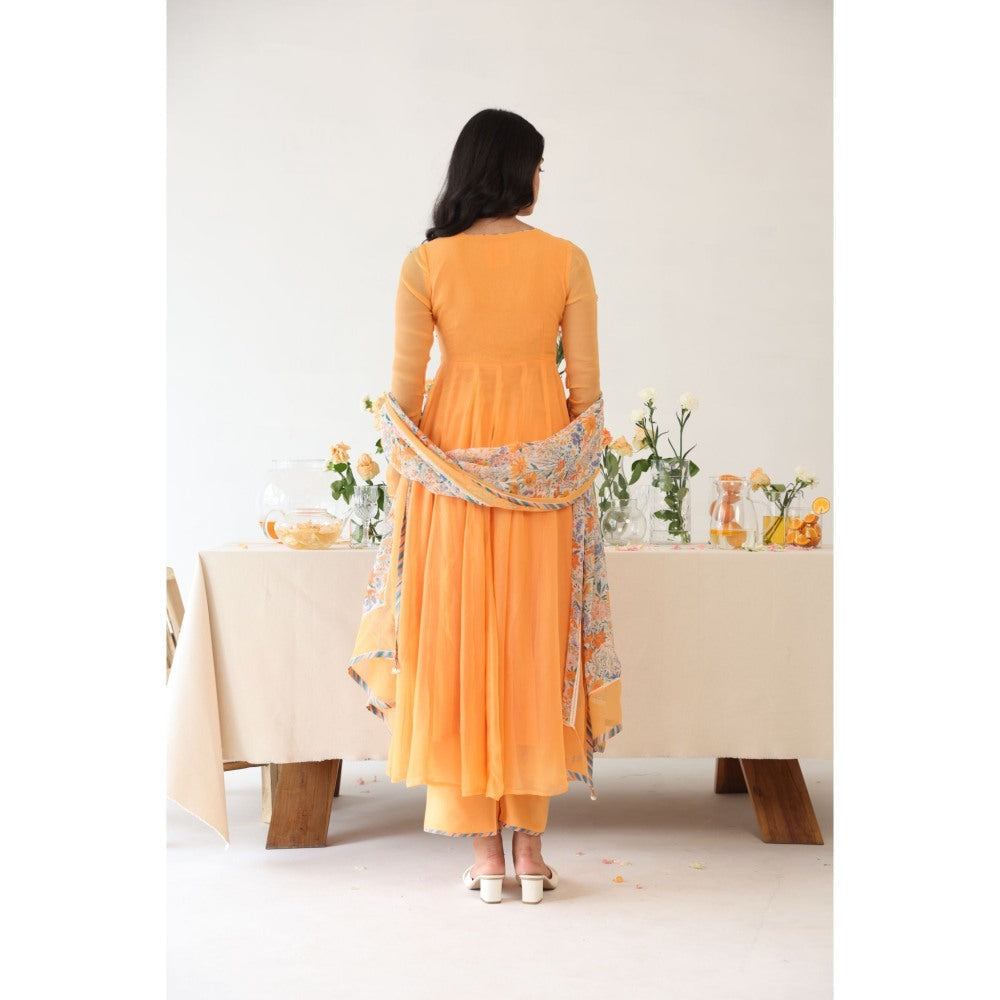 Baise Gaba Zesty Hand Embroidery Anarkali Kurta with Pant & Dupatta (Set of 3)