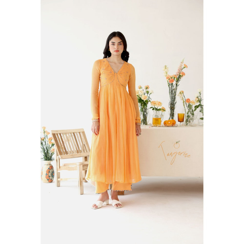 Baise Gaba Orange Solid Zesty Pant