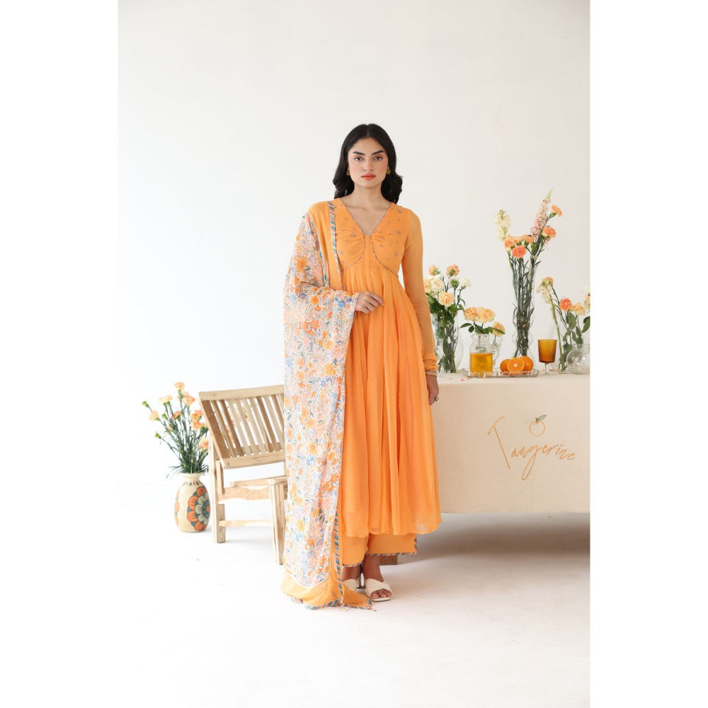 Baise Gaba Orange Solid Zesty Pant