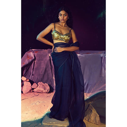 Baise Gaba Stellar Saree with Stitched Blouse