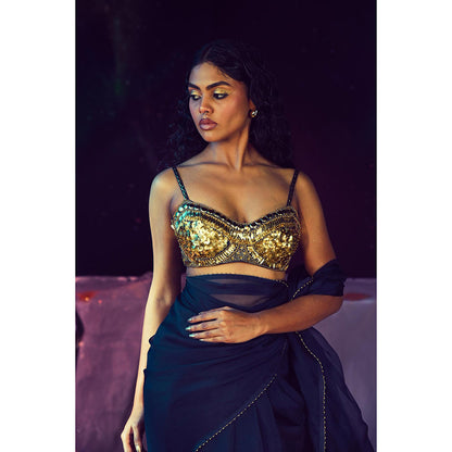 Baise Gaba Stellar Saree with Stitched Blouse