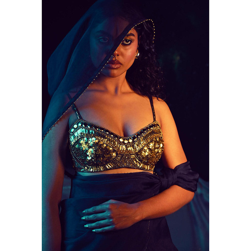 Baise Gaba Stellar Saree with Stitched Blouse