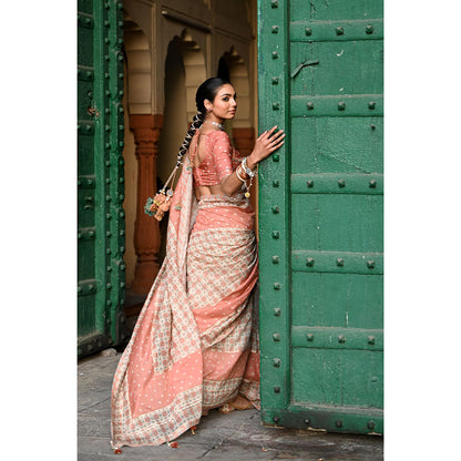 Baise Gaba Jal Jharokha Printed Saree with Stitched Blouse