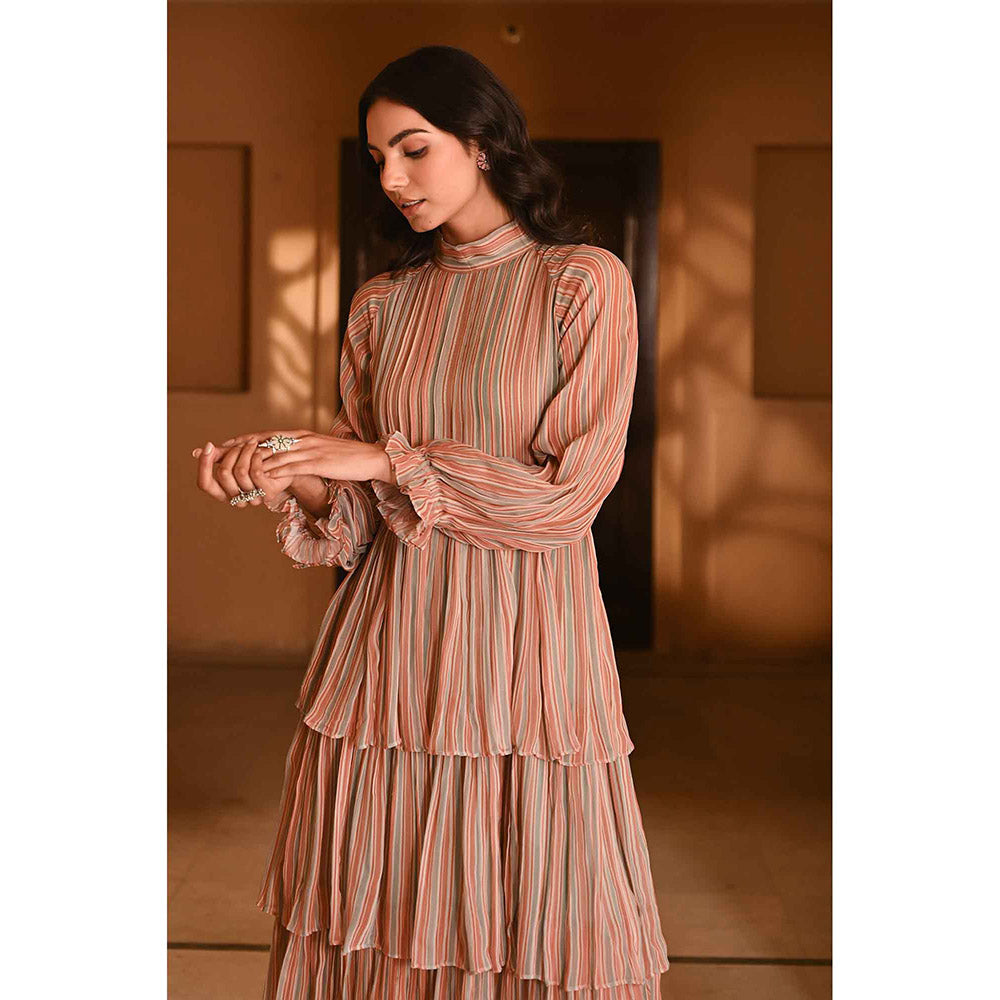 Baise Gaba Gaurani Multi-Color Dress