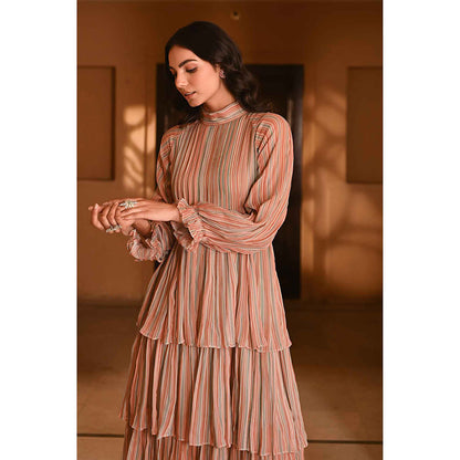 Baise Gaba Gaurani Multi-Color Dress