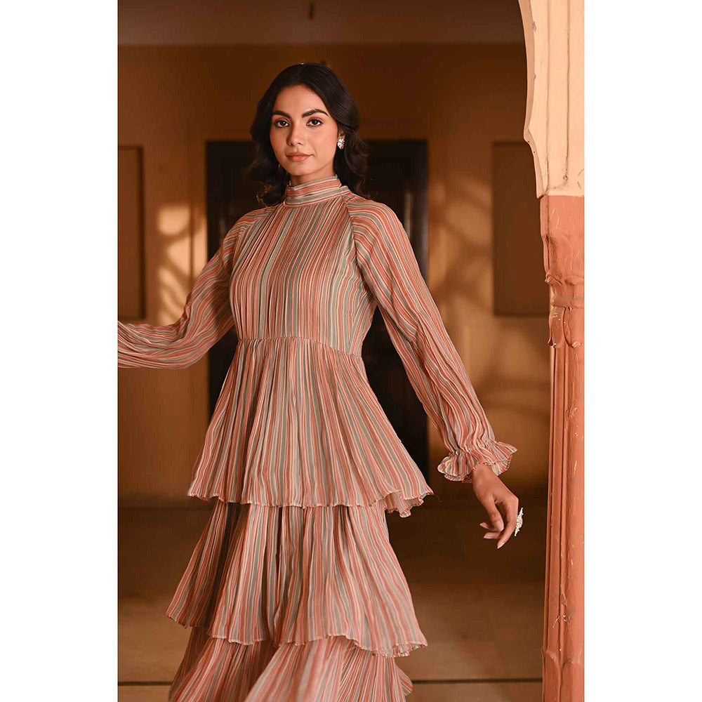 Baise Gaba Gaurani Multi-Color Dress