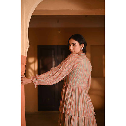 Baise Gaba Gaurani Multi-Color Dress