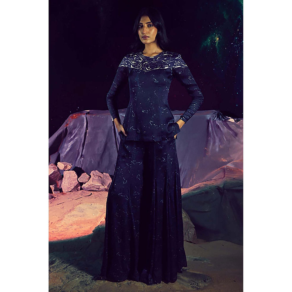 Baise Gaba Yug Navy Blue Top and Sharara Pant Co-Ord Set