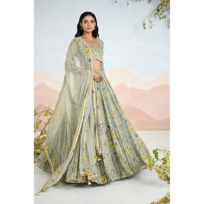 Baise Gaba Auralia Green Lehenga with Blouse and Dupatta