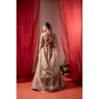 Baise Gaba Utsav Beige Lehenga with Blouse and Dupatta