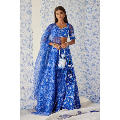Baise Gaba Ihanna Blue Lehenga with Blouse and Dupatta