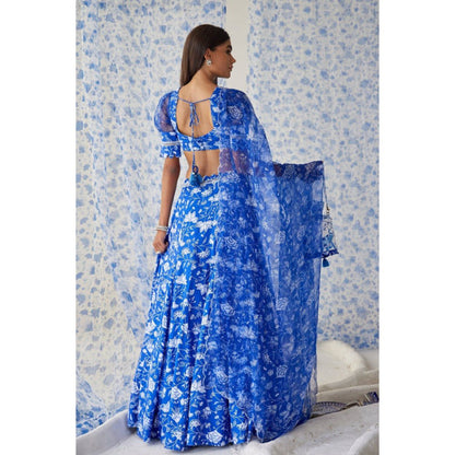 Baise Gaba Ihanna Blue Lehenga with Blouse and Dupatta