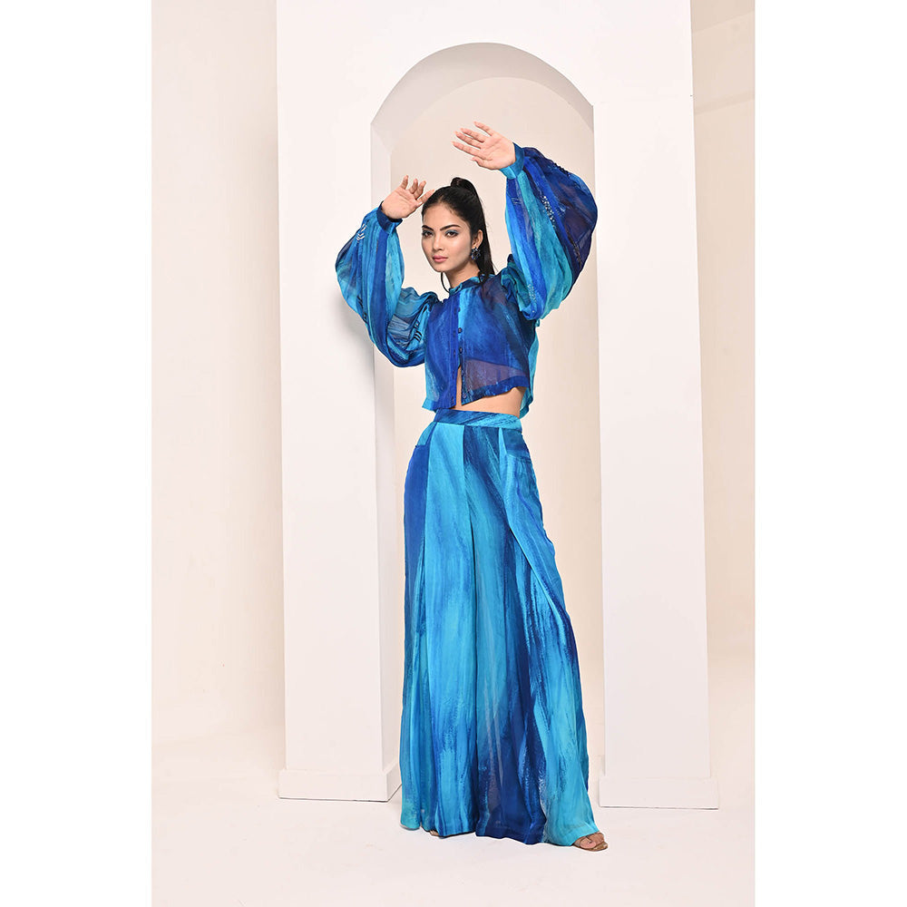 Bani Khurana Blue Printed Embroidered Co-Ord (Set of 2)
