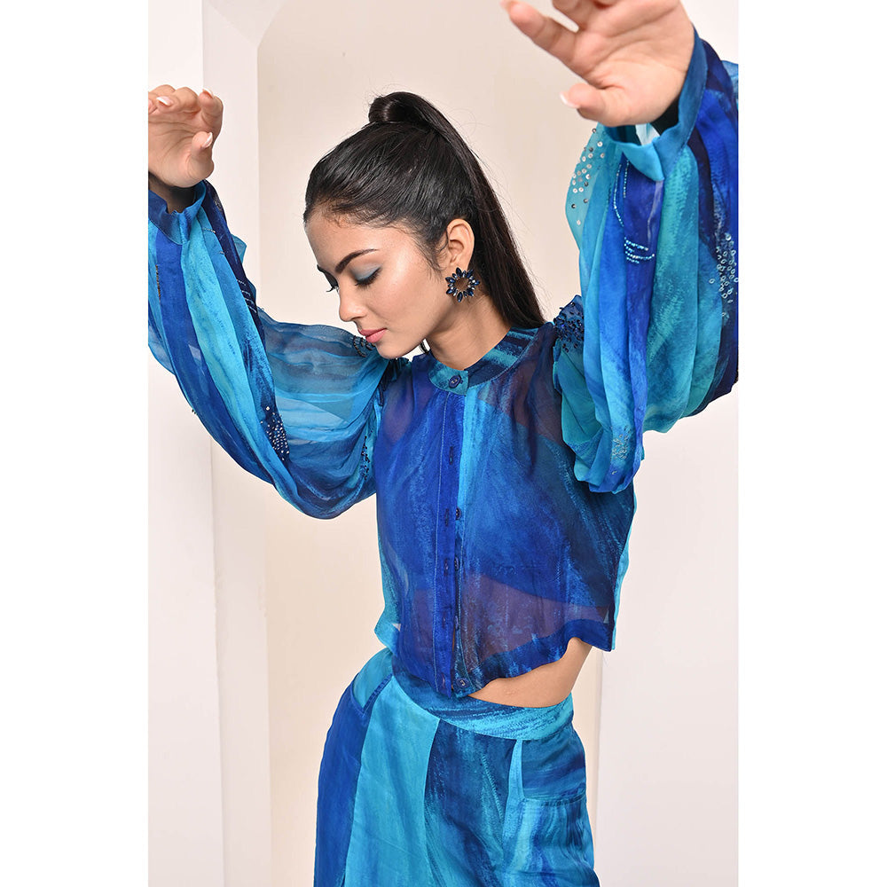 Bani Khurana Blue Printed Embroidered Co-Ord (Set of 2)