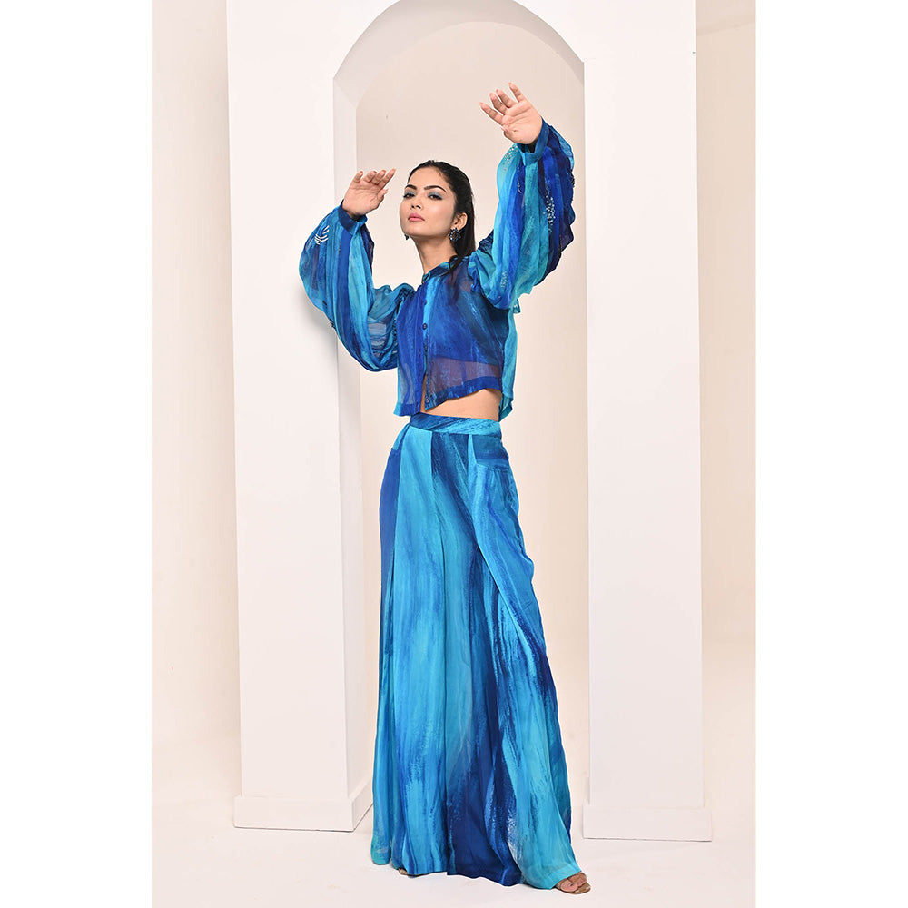 Bani Khurana Blue Printed Embroidered Co-Ord (Set of 2)