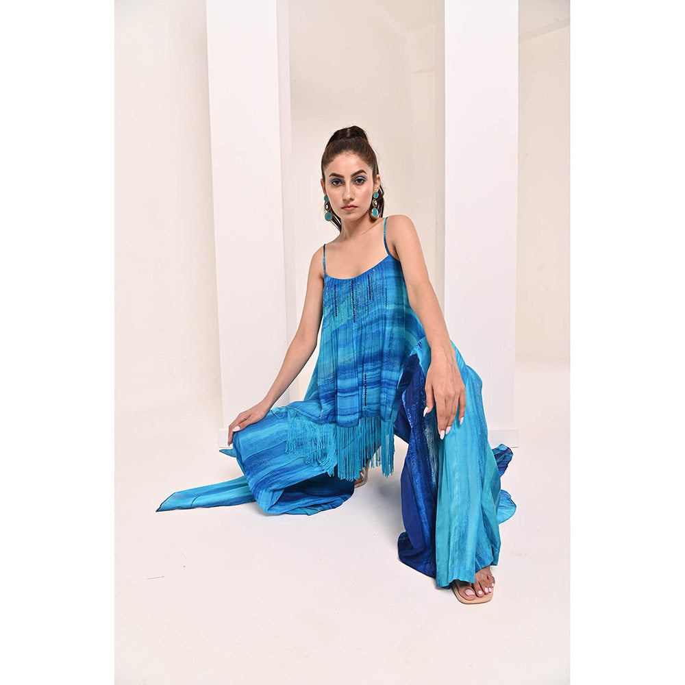 Bani Khurana Blue Printed Sleeveless Co-Ord (Set of 2)