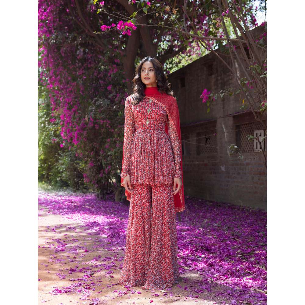 Basanti Kapde aur Koffee Drop Printed Full Sleeves Top and Sharara with Dupatta (Set of 3)