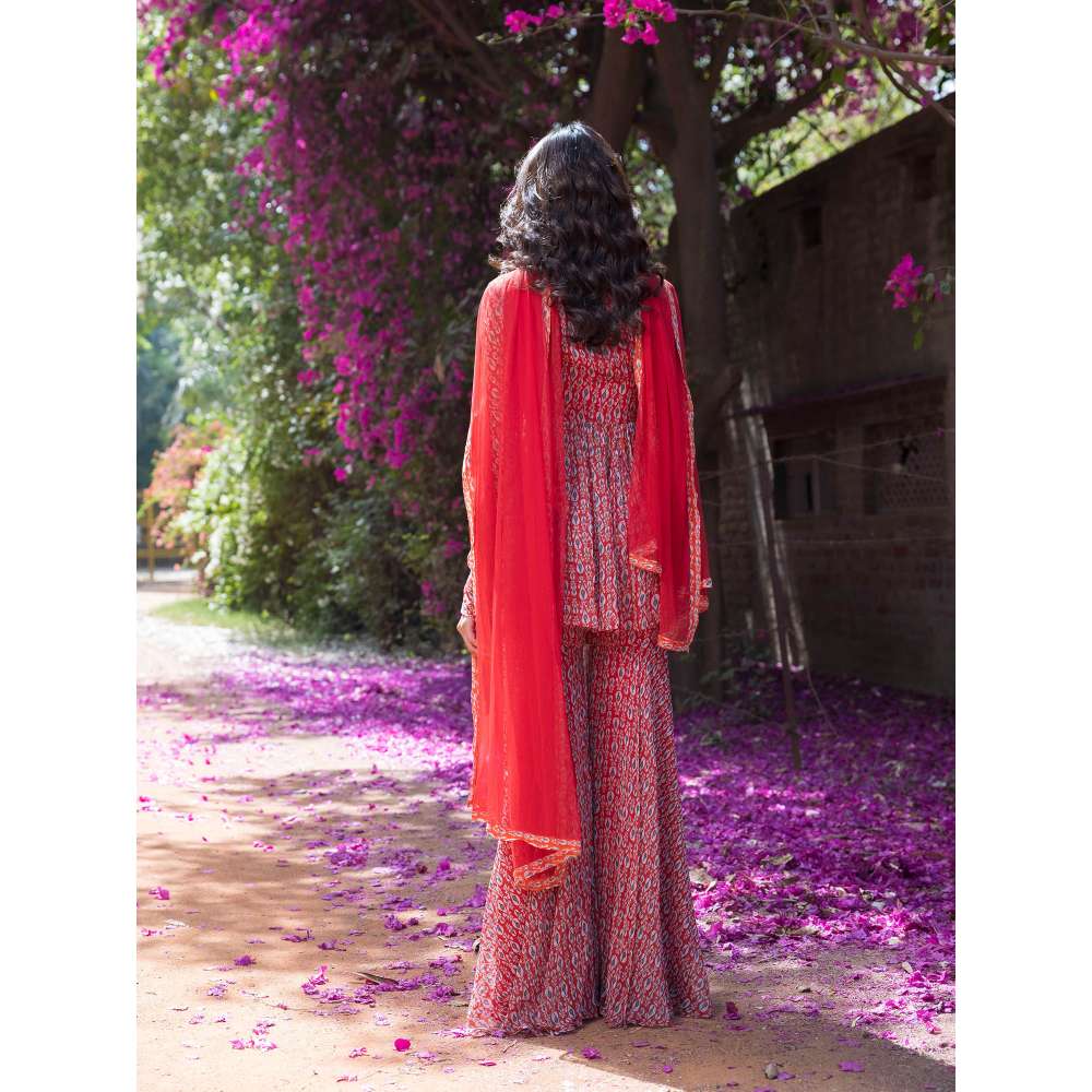 Basanti Kapde aur Koffee Drop Printed Full Sleeves Top and Sharara with Dupatta (Set of 3)