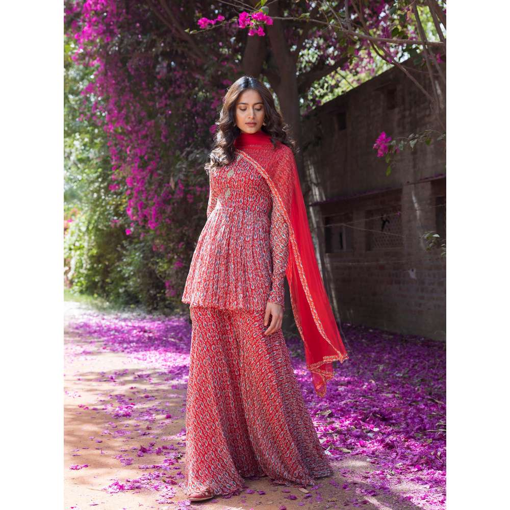 Basanti Kapde aur Koffee Drop Printed Full Sleeves Top and Sharara with Dupatta (Set of 3)