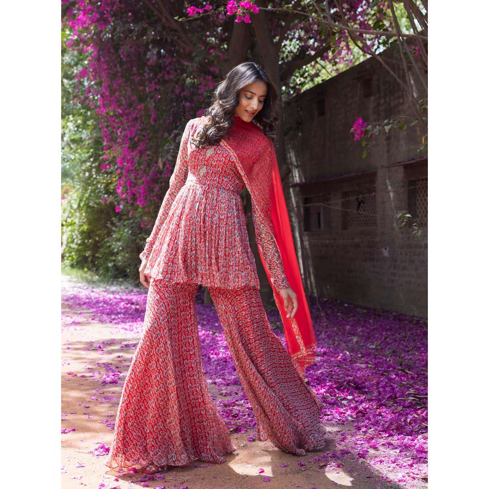 Basanti Kapde aur Koffee Drop Printed Full Sleeves Top and Sharara with Dupatta (Set of 3)