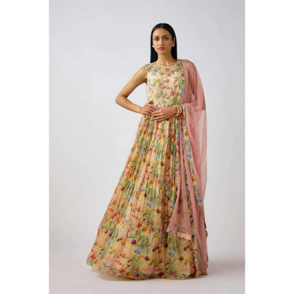 Basanti Kapde aur Koffee Beige Organza Embroidered Anarkali and Dupatta (Set of 2)