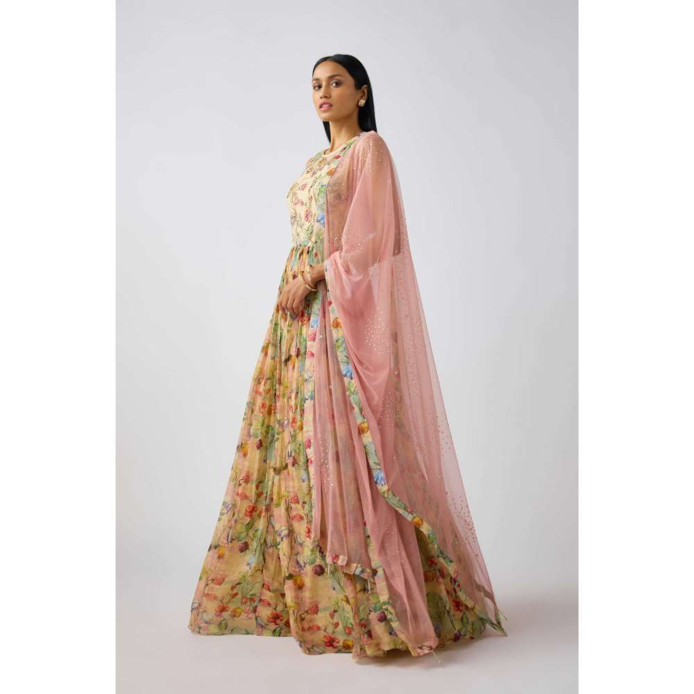 Basanti Kapde aur Koffee Beige Organza Embroidered Anarkali and Dupatta (Set of 2)