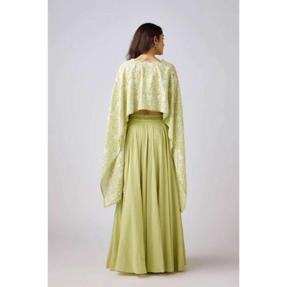 Basanti Kapde aur Koffee Pista Embroidered Cape Top with Bustier & Skirt (Set of 3)