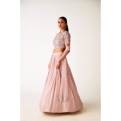 Basanti Kapde aur Koffee Pink Chinon Embroidered Blouse with Lehenga and Dupatta (Set of 3)