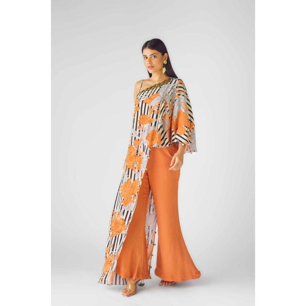 Basanti Kapde aur Koffee Womens Printed Multi-Color Bustier with Pant and Cape (Set of 3)