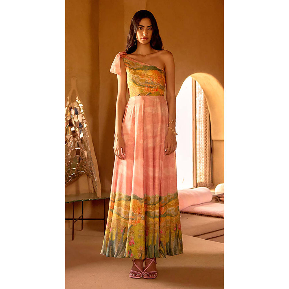 Basanti Kapde aur Koffee Blush Meadow Muslin Maxi Dress