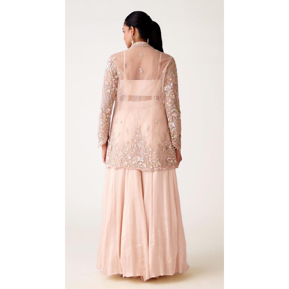 Basanti Kapde aur Koffee Baby Pink Embroidered Bustier With Sharara And Jacket