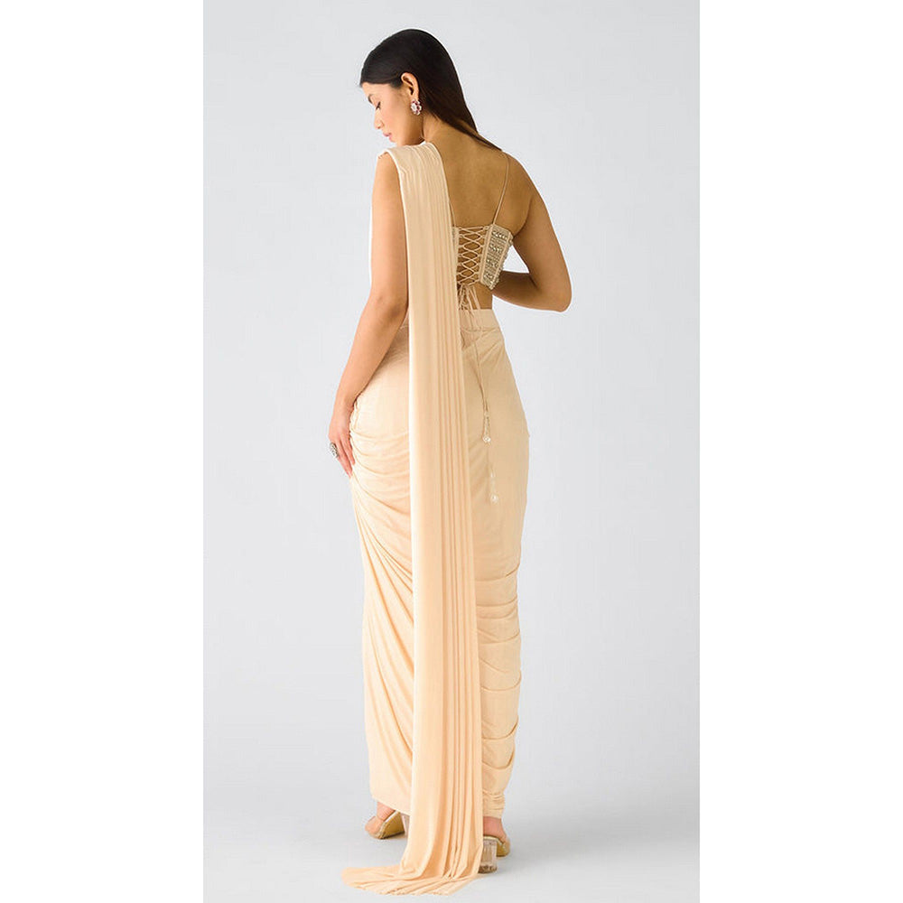 Basanti Kapde aur Koffee Ivory Organza Embroidered Pre-Drape Saree with Stitched Blouse