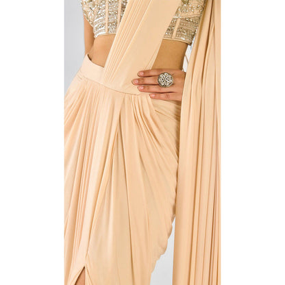 Basanti Kapde aur Koffee Ivory Organza Embroidered Pre-Drape Saree with Stitched Blouse