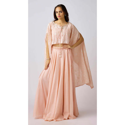 Basanti Kapde aur Koffee Pink Cotton Embroidered Lehenga with Blouse and Dupatta