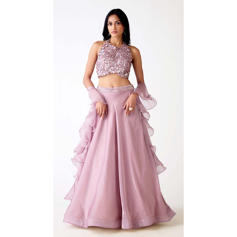 Basanti Kapde aur Koffee Mauve Organza Embroidered Lehenga with Blouse and Dupatta