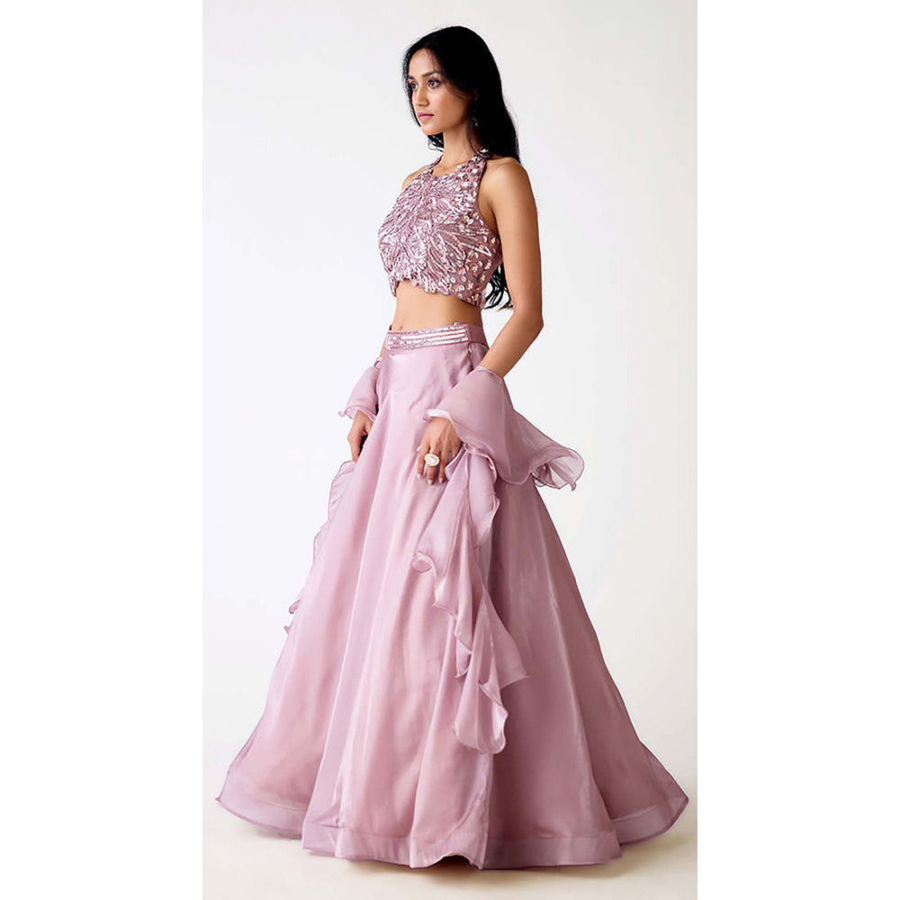 Basanti Kapde aur Koffee Mauve Organza Embroidered Lehenga with Blouse and Dupatta