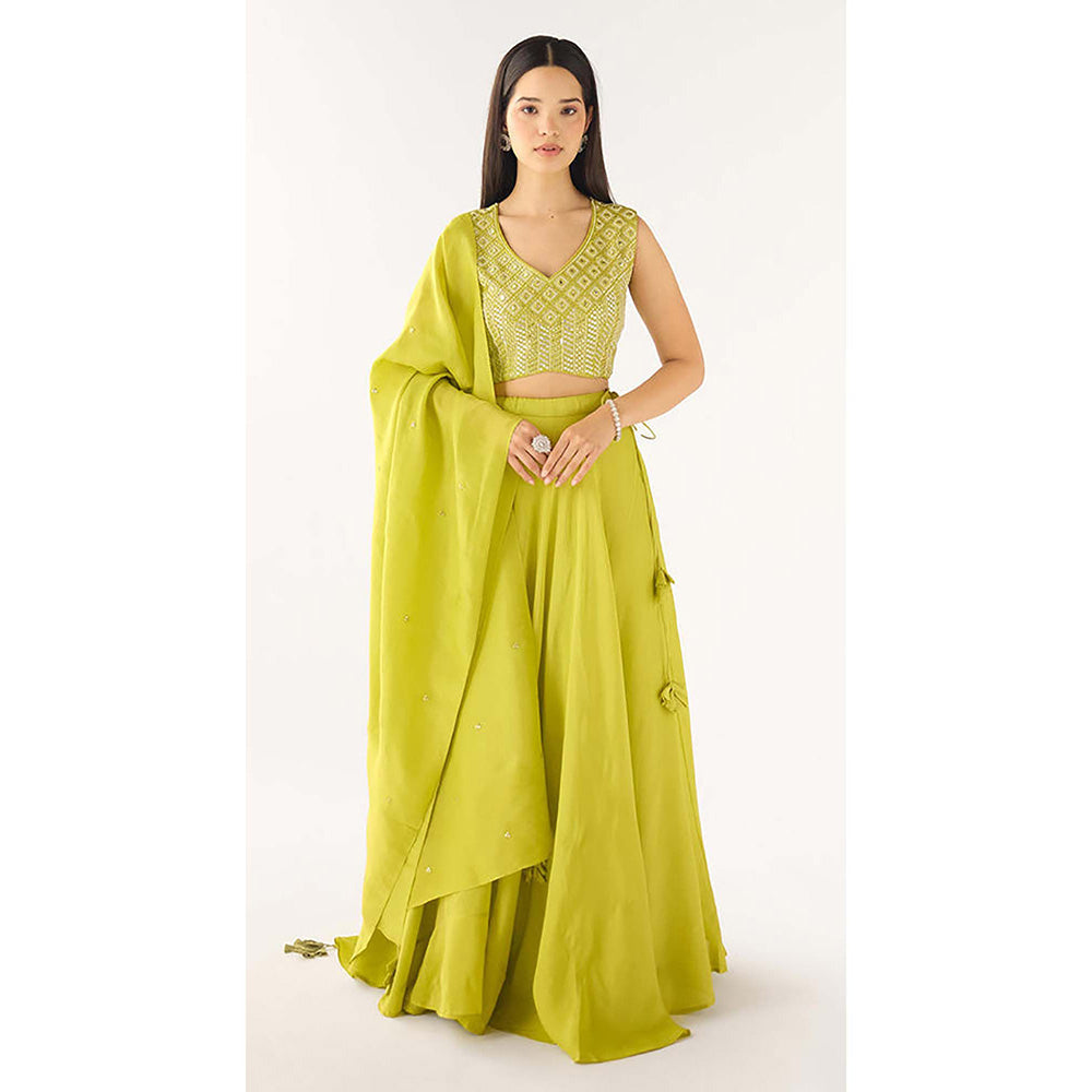Basanti Kapde aur Koffee Lime Tissue Embroidered Lehenga with Blouse and Dupatta