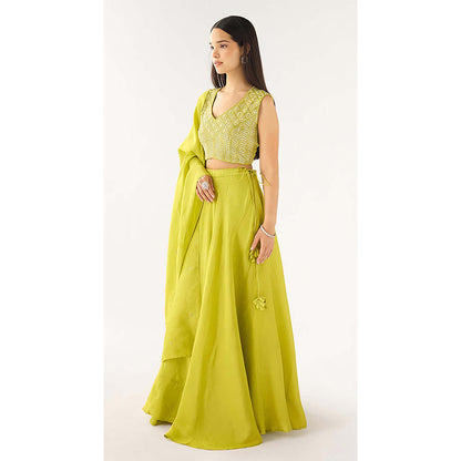 Basanti Kapde aur Koffee Lime Tissue Embroidered Lehenga with Blouse and Dupatta