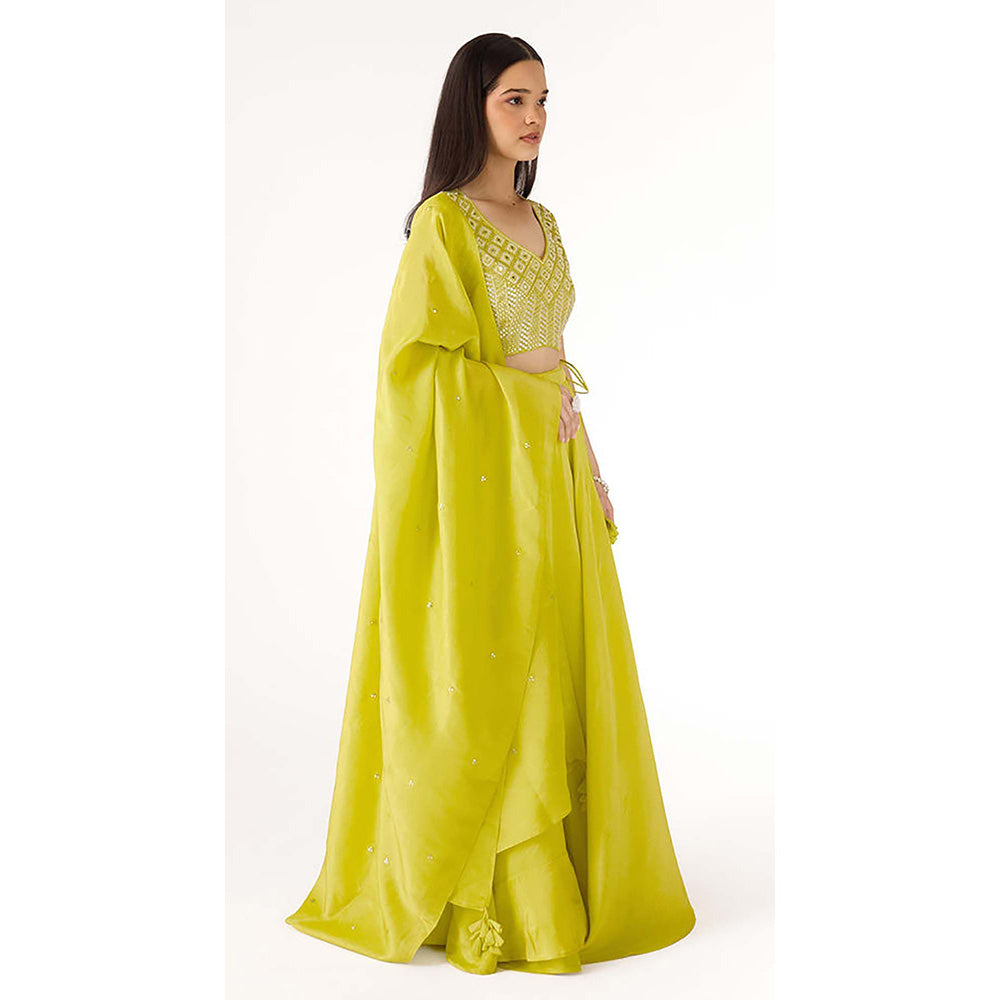 Basanti Kapde aur Koffee Lime Tissue Embroidered Lehenga with Blouse and Dupatta