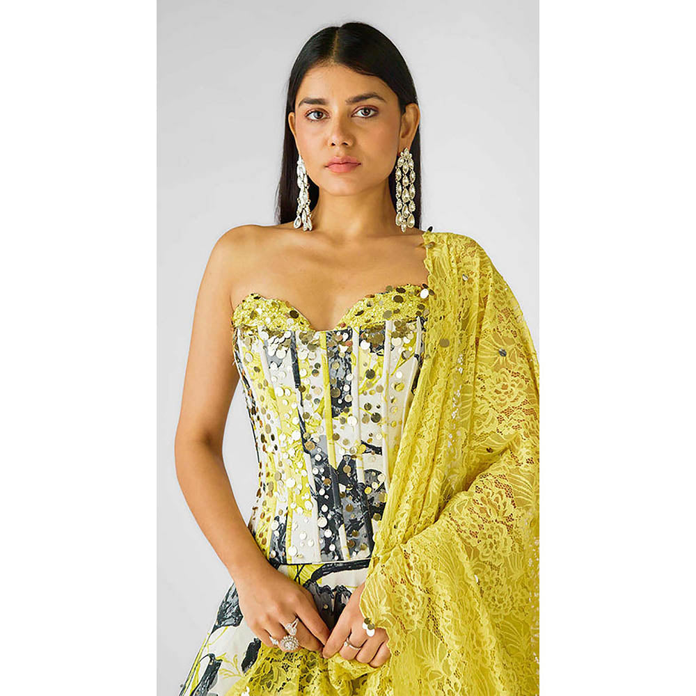 Basanti Kapde aur Koffee The Garden Of Eclipse Lehenga with Corset Blouse and Dupatta