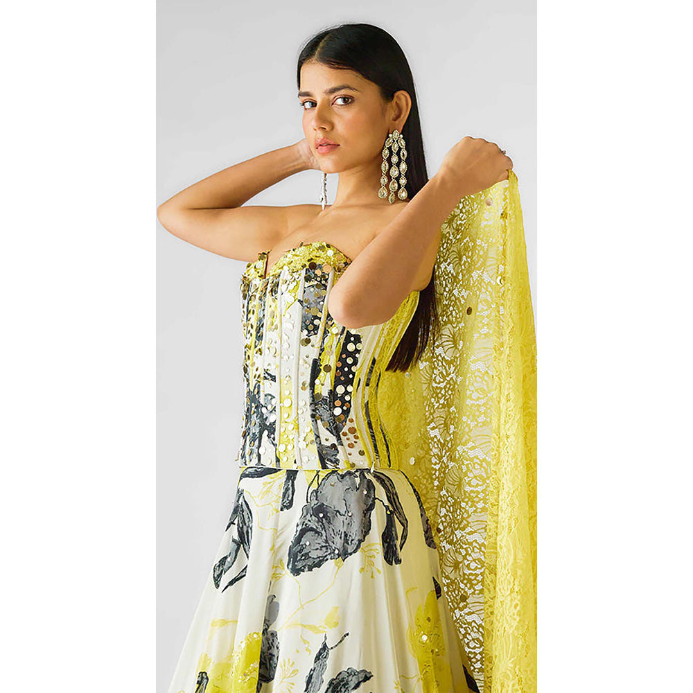 Basanti Kapde aur Koffee The Garden Of Eclipse Lehenga with Corset Blouse and Dupatta
